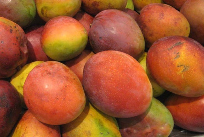 Manga: Tommy se desvaloriza pela segunda semana consecutiva no Vale