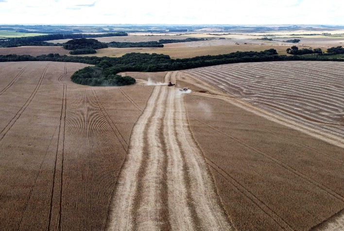 Paraná tem 34 municípios com VBP acima de R$ 1 bilhão