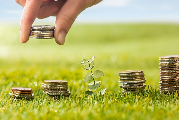 Arara Seed completa um ano e prevê fechar 2023 com 5 startups investidas, somando R$ 4,5 milhões transacionados