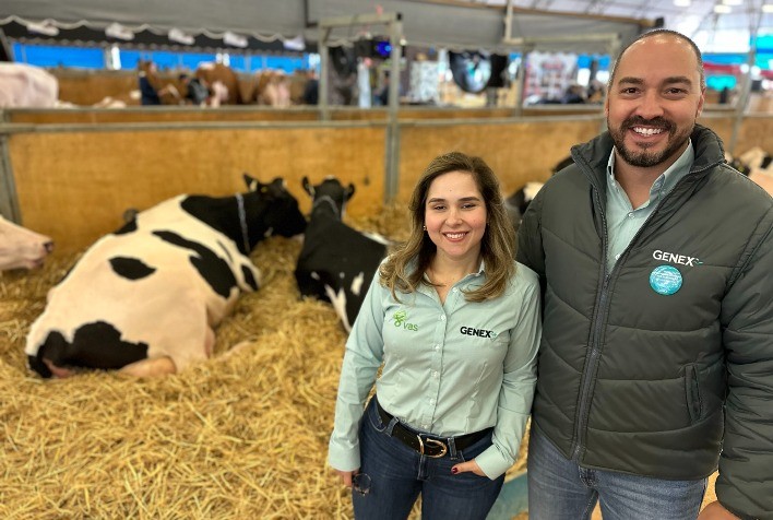 Genex apresenta touros para uso em ordenha robotizada na Expointer