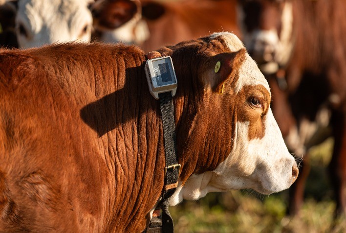 Belgo Arames anuncia, na Expointer, investimento em AgTech mirando no futuro das cercas rurais