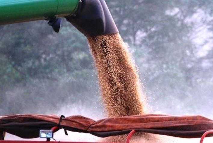 Safra de soja do Brasil deve crescer 5,3% em 2023/24, prevê hEDGEpoint