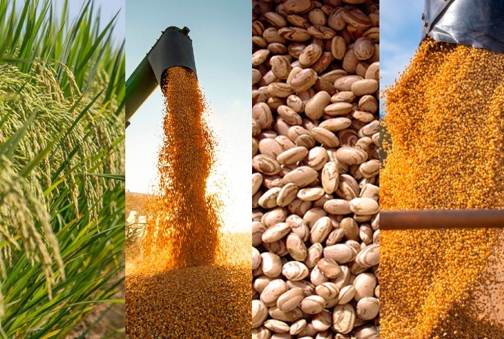 Produção de grãos do RS deve subir 49,13% em 2023/24, para 36,098 milhões de toneladas, diz Emater