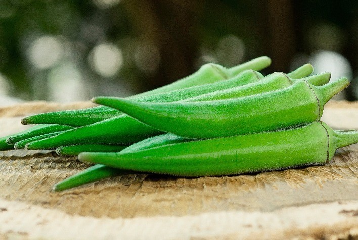 Precocidade e produtividade de nova variedade de quiabo potencializam lavouras do Cinturão Verde