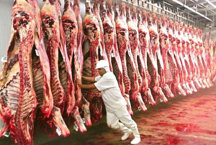 Minerva Foods adquire plantas de abate e desossa de bovinos e ovinos da Marfrig na américa do Sul