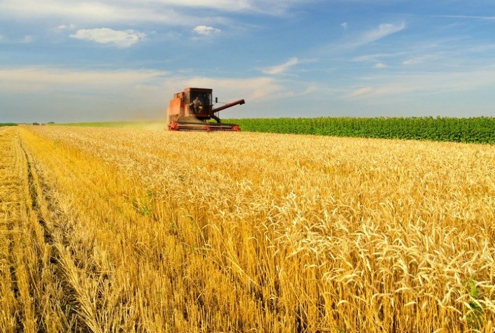 Plano Safra tem R$5,1 bi adicionais para agronegócio e agricultura familiar