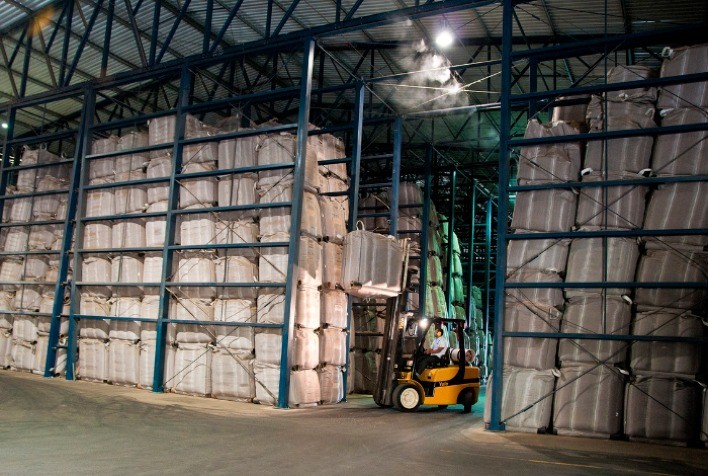 Colheita na área de ação da Cooxupé supera os 90%