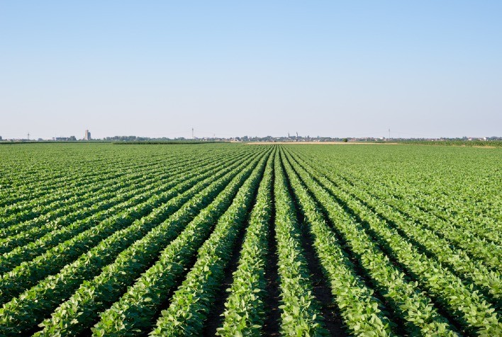 Evento gratuito discute os desafios da safra 2023/2024