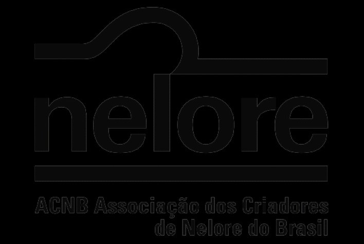 Nota de repúdio