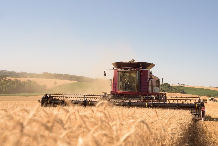 Colheita de grãos 2023 na Ucrânia ultrapassa 33 mi t, diz ministério