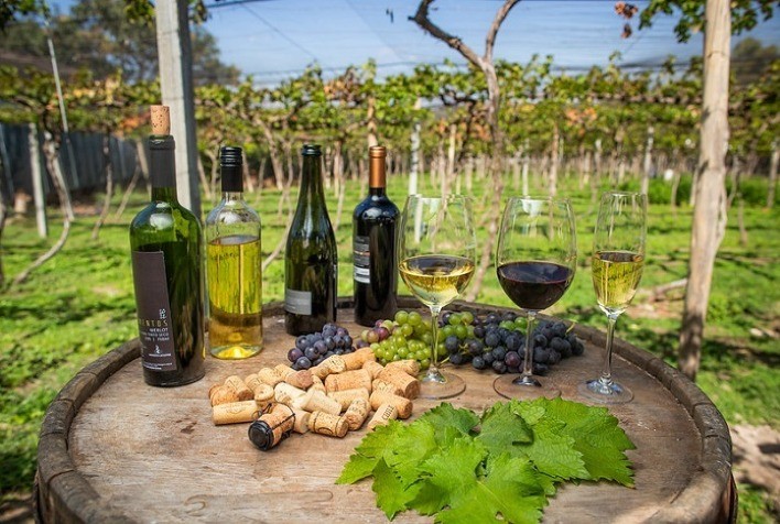 Prêmio CNA Brasil Artesanal de vinhos e espumantes está com inscrições abertas