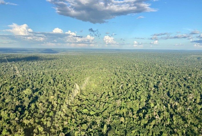 Dia da Amazônia: o potencial e os perigos que envolvem a maior floresta do mundo