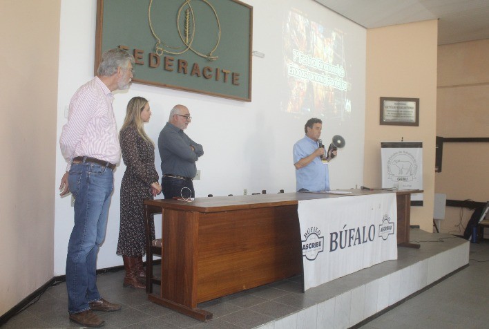 Associação busca aumentar mercado da carne de búfalos no Brasil