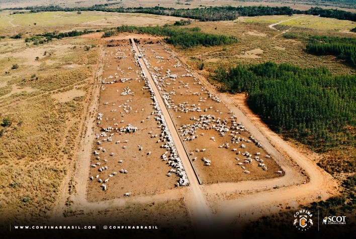 Confina Brasil registra sistema de rastreabilidade, confinamento estratégico e áreas extensas de infraestrutura no Pará