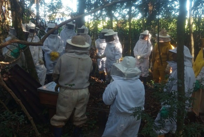 Dia de campo integra apicultores em São Domingos