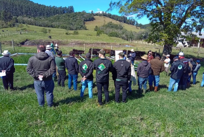 Oficina técnica apresenta avanços na pecuária de corte no Sul de SC