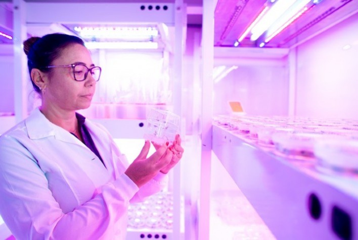 GDM amplia centro de biotecnologia e expande escala produtiva às principais culturas agrícolas