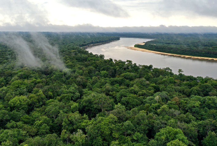 A importância da floresta para o futuro da humanidade