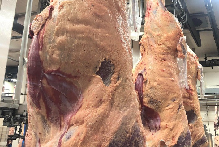 Atingindo novo recorde, produção de carnes inspecionadas aumentou 6% no primeiro semestre de 2023