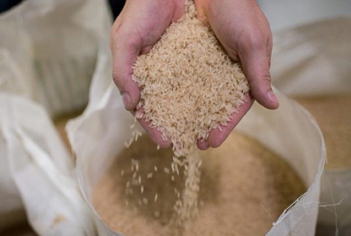 Média da saca gaúcha de arroz flerta com R$ 100