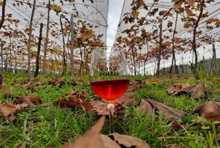 Cresce número de vinícolas familiares que vão participar da Wine South América