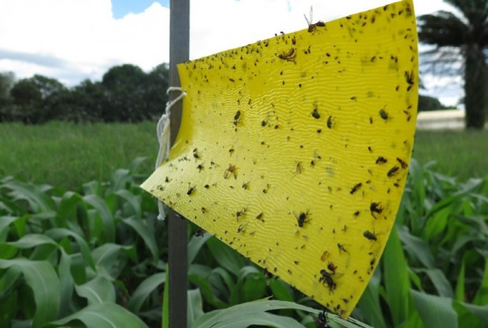 Processo de fabricação de nanocompósito para liberação controlada é patenteado