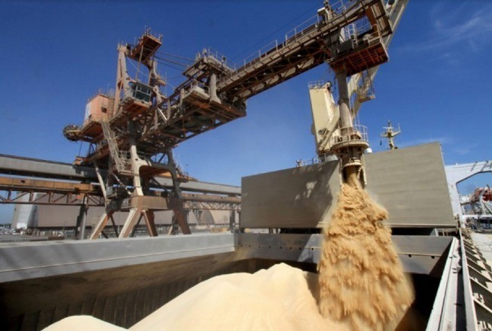 União Europeia deve importar 14,2 mi de t de soja em 2023/24 – USDA