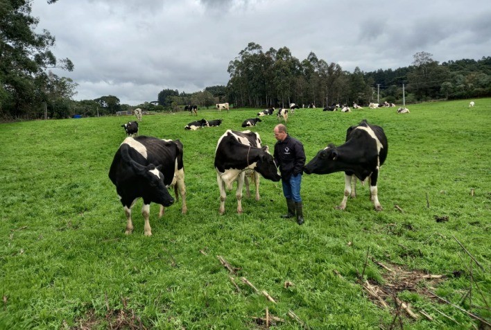 Enchentes agravam situação do setor leiteiro no Rio Grande do Sul