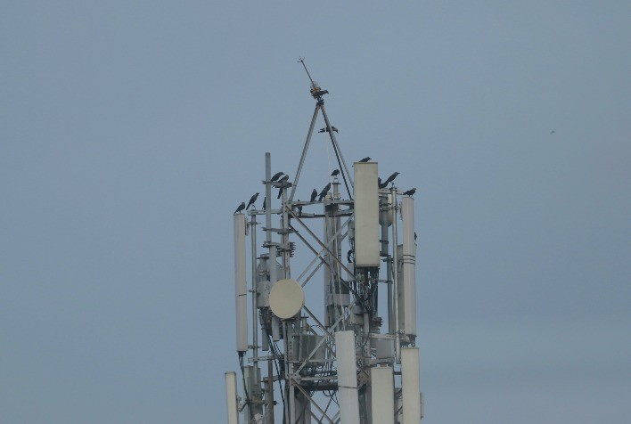 5g se prepara para revigorar agricultura no Brasil, que outros setores podem se beneficiar?