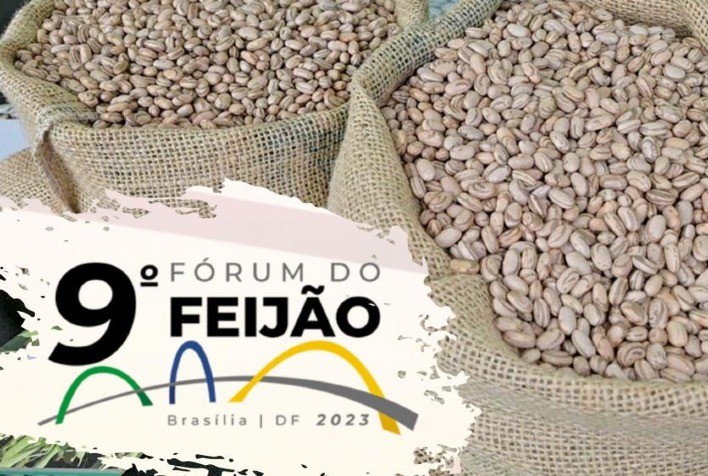 Fórum do feijão debaterá situação do setor