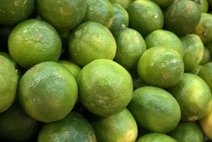 Preços do Limão Taiti Disparam 102,7% em agosto