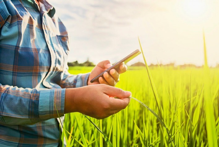 Startup lança funcionalidade que permite ao produtor rural e compradores de grãos saberem se fizeram uma boa negociação