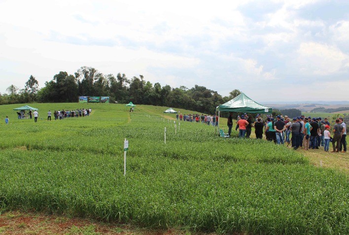 Dia de Campo em Xanxerê supera as expectativas em qualidade e participação dos produtores