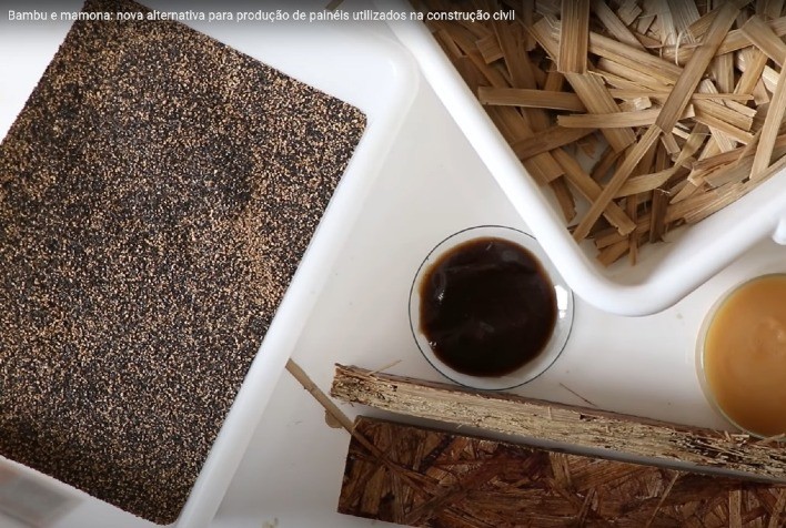 Bambu e mamona: nova alternativa para produção de painéis utilizados na construção civil