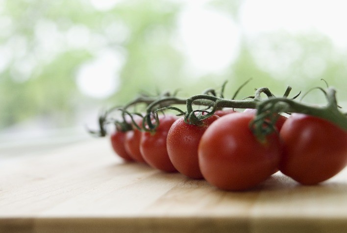 Pomarola reforça a importância da rastreabilidade no portfólio de tomates da Cargill