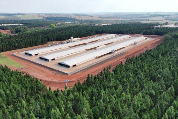 Cobb-Vantress anuncia novo incubatório e ampliação de granja com investimentos de mais de R$ 70 milhões