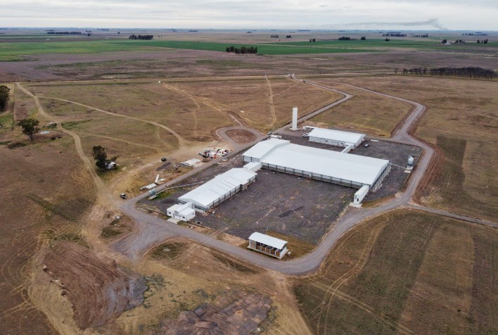 Agroceres PIC inaugura moderna UDG na Argentina e intensifica expansão de sua estrutura de Genética Líquida