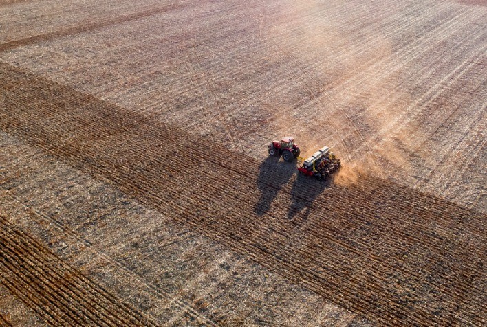 Plantio de soja atinge 6% da área do Paraná, aponta Deral