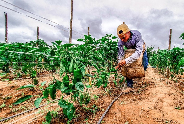 Edital seleciona municípios para execução do Programa de Aquisição de Alimentos em Minas