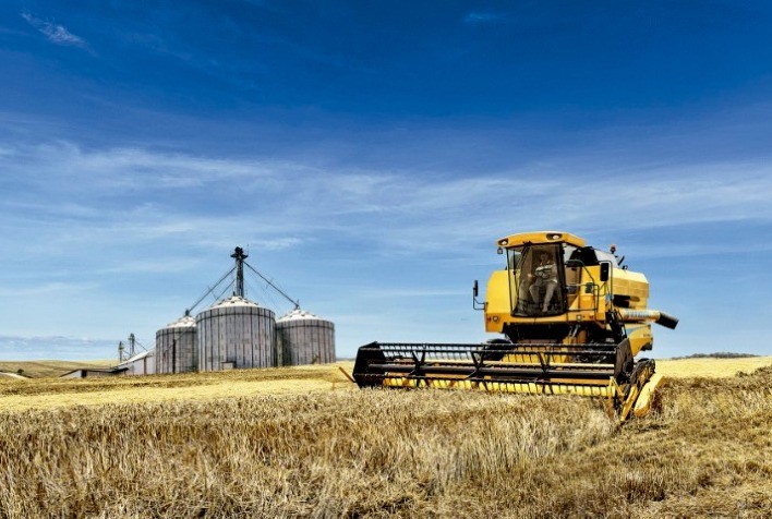 TRIGO: Ministério da Agricultura afirma que poderá disponibilizar R$ 400 milhões para apoiar a comercialização do cereal