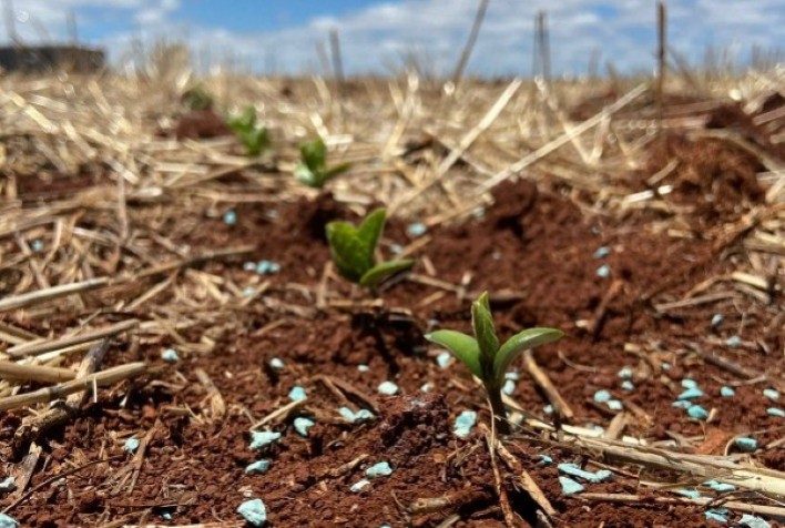MaxiSolo atua em três frentes de desenvolvimento de novos fertilizantes sólidos granulados