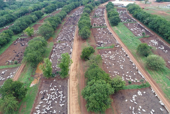 MFG Agropecuária completa 16 anos contribuindo para o grande salto tecnológico do confinamento