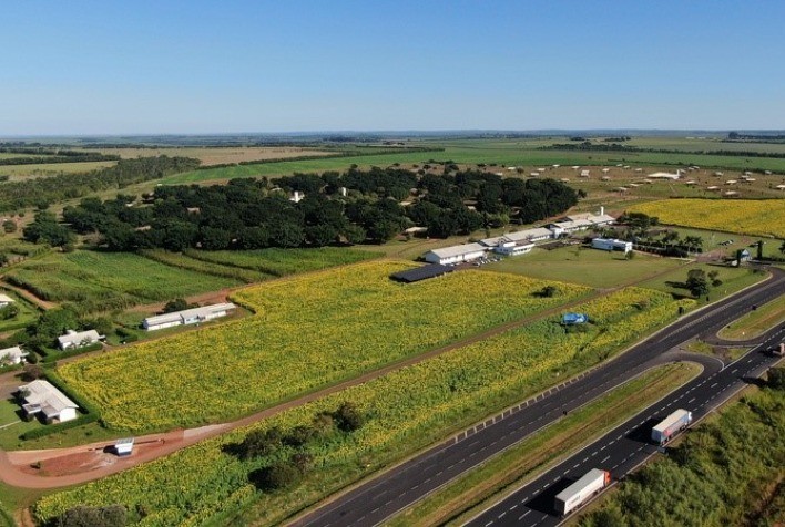 Alta participa da Expoinel 2023, principal exposição de Nelore do Brasil