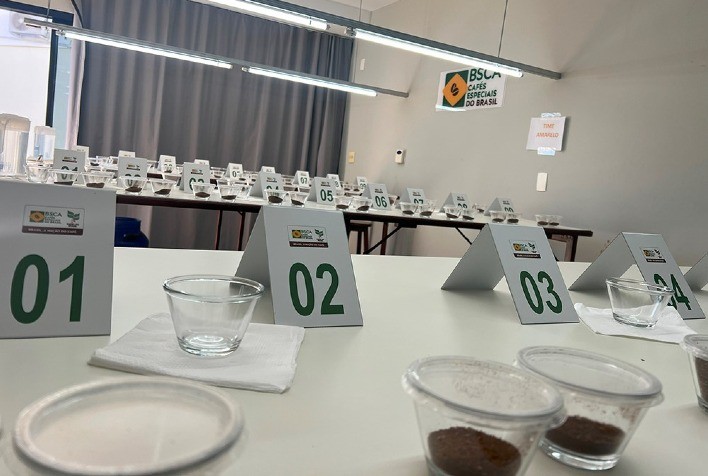 Cup of Excellence: 150 produtores disputam título de melhor café especial do Brasil
