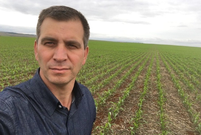 Lagartas: Estudos em nível de campo revelam desempenho superior de inseticida sobre Spodoptera frugiperda no milho