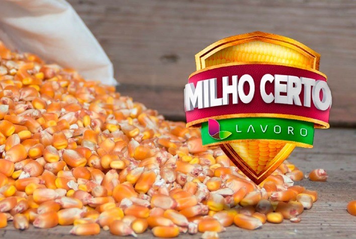 Campanha “Milho Certo 2.0” pretende superar marca de R＄ 400 milhões em vendas de insumos agrícolas em sua segunda edição