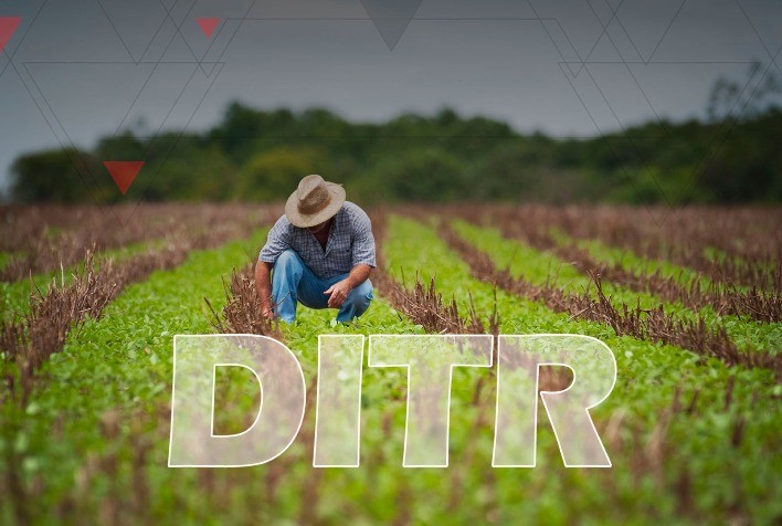 DITR: Termina na sexta entrega da Declaração do Imposto Territorial Rural