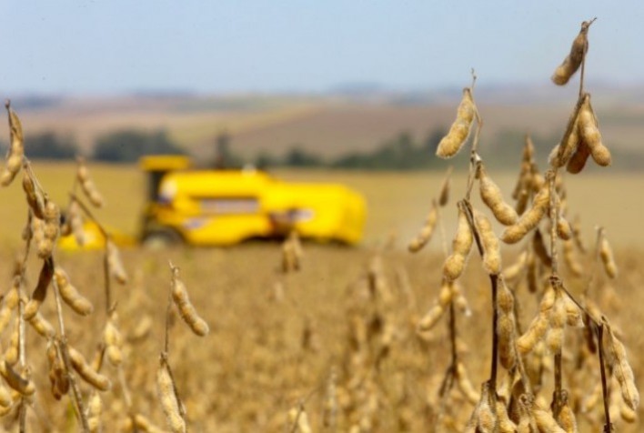Paraná mantém estimativas de safras de soja e milho 23/24, reduz previsão para trigo