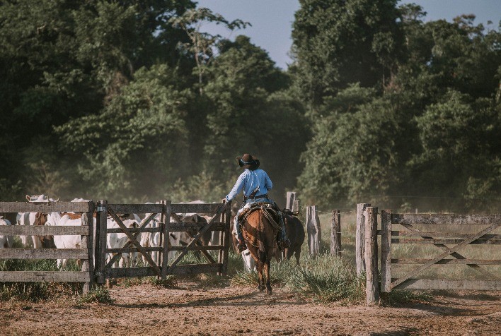 Evento promove debate sobre inovação e sustentabilidade no agronegócio