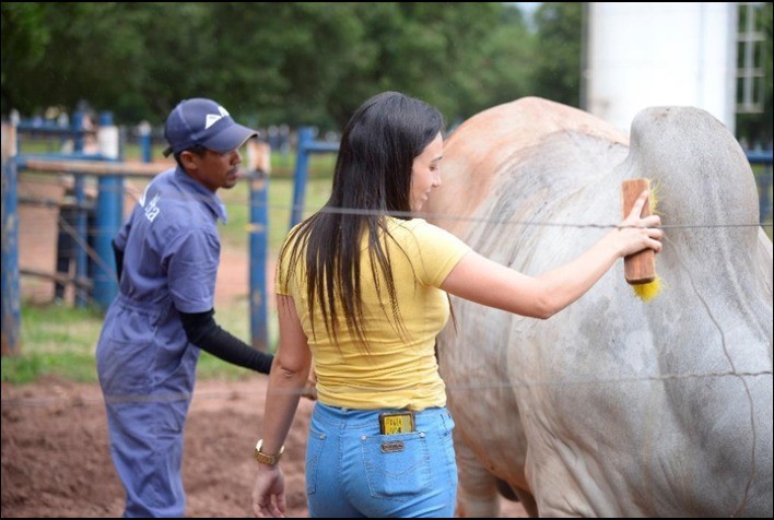 Alta recebe certificação de Bem-Estar Animal